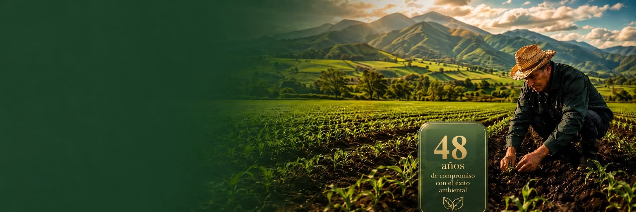 Agricultor ecuatoriano revisando su cultivo con montañas al fondo
