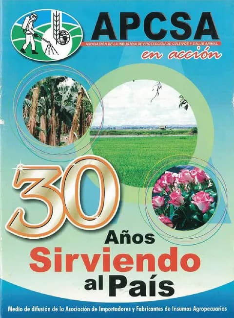 Portada de la Revista APCSA N.º 1