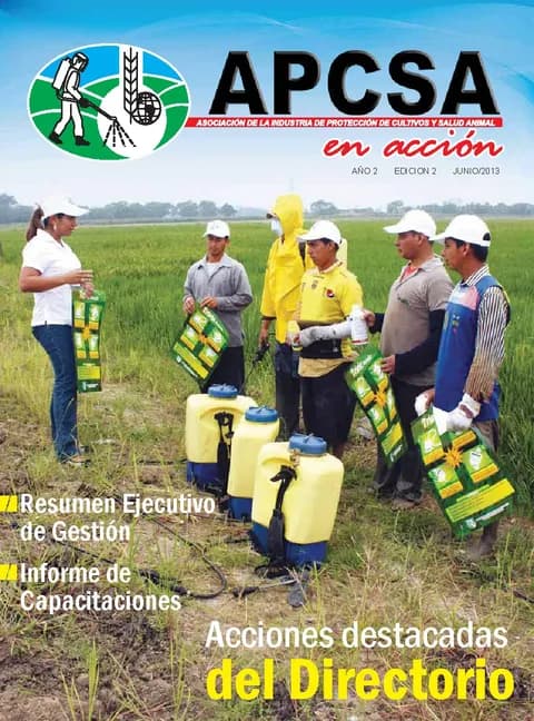 Portada de la Revista APCSA N.º 2