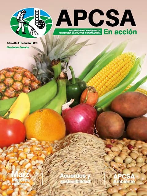 Portada de la Revista APCSA N.º 3