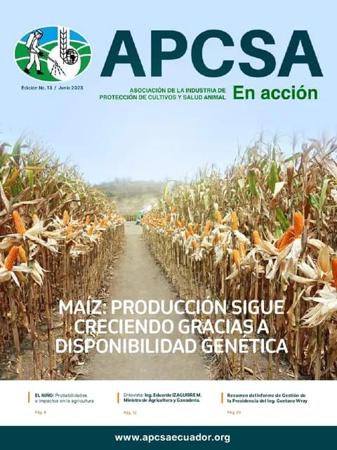Portada de la Revista APCSA N.º 13