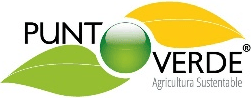 Punto Verde